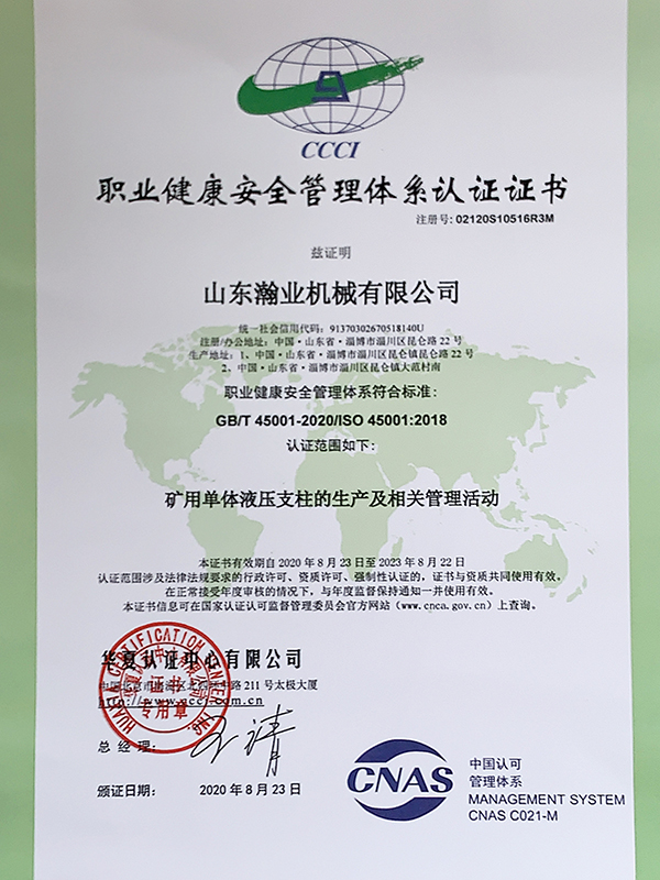 職業健康體系認證證書